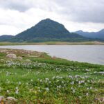 a large body of water sitting next to a lush green field